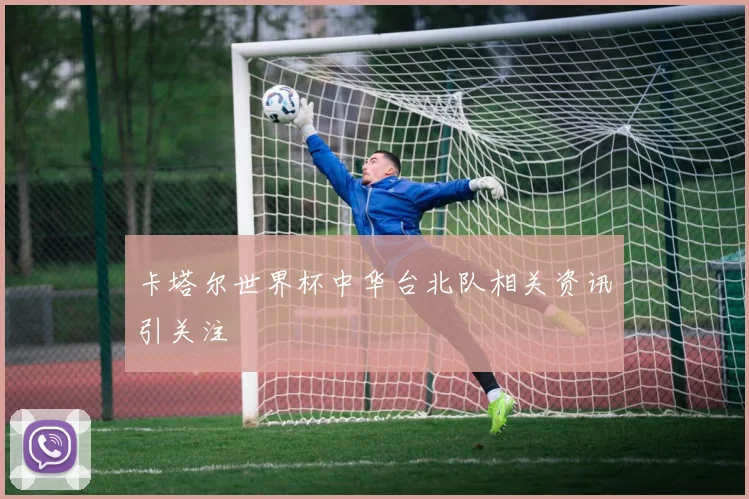 卡塔尔世界杯中华台北队相关资讯引关注